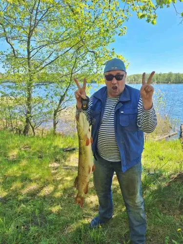 Ищу попутчика в Хорватию.